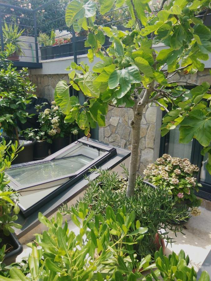 Artspace Location-Opatija-3 Bedroom House With Rooftop Garden By Beach Exteriör bild