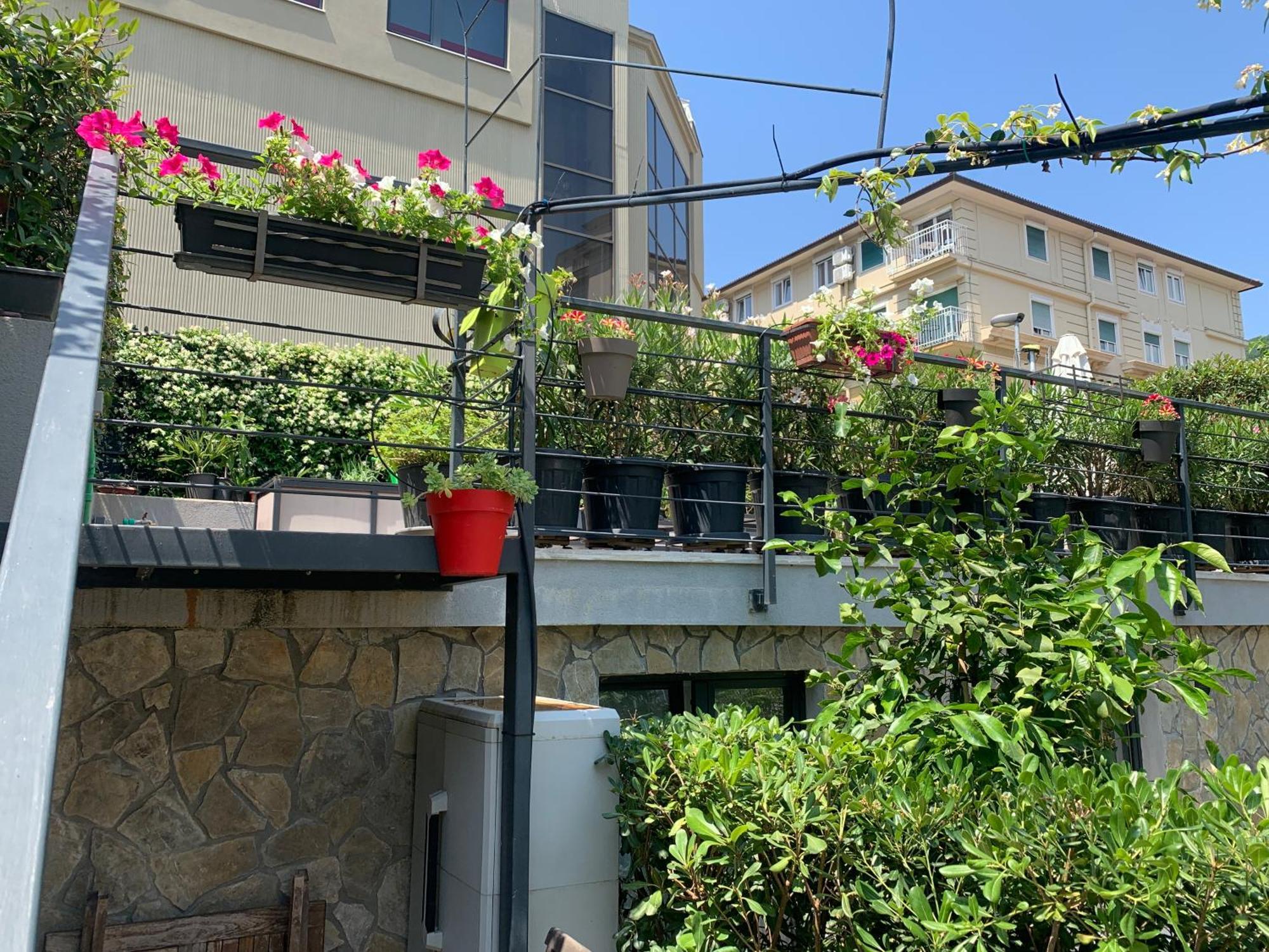 Artspace Location-Opatija-3 Bedroom House With Rooftop Garden By Beach Exteriör bild