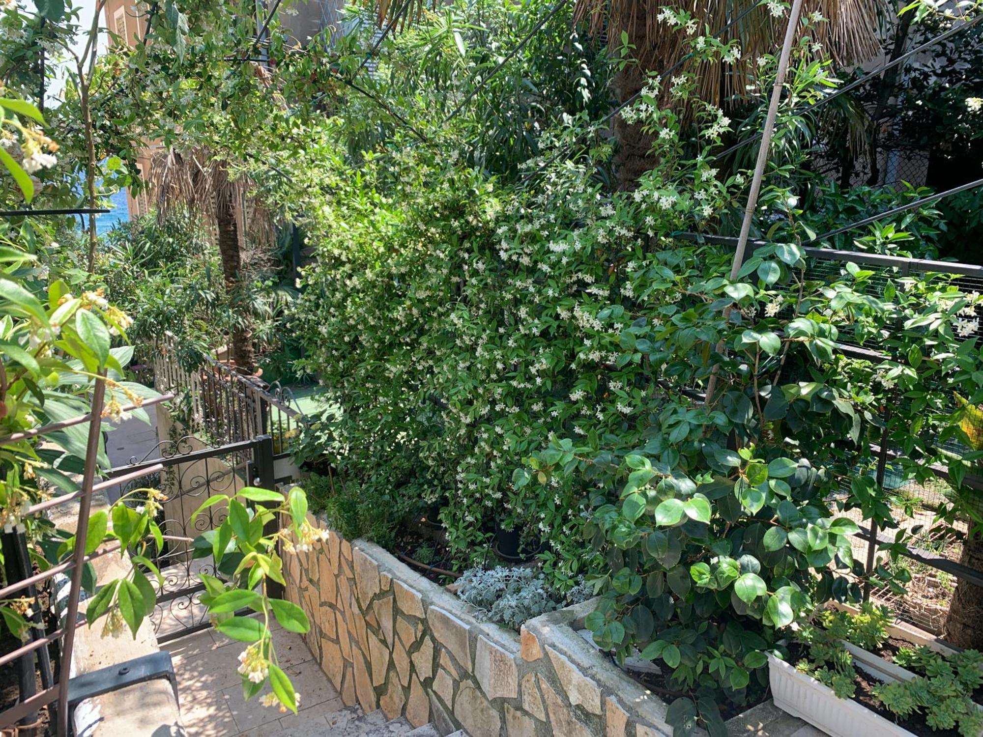 Artspace Location-Opatija-3 Bedroom House With Rooftop Garden By Beach Exteriör bild